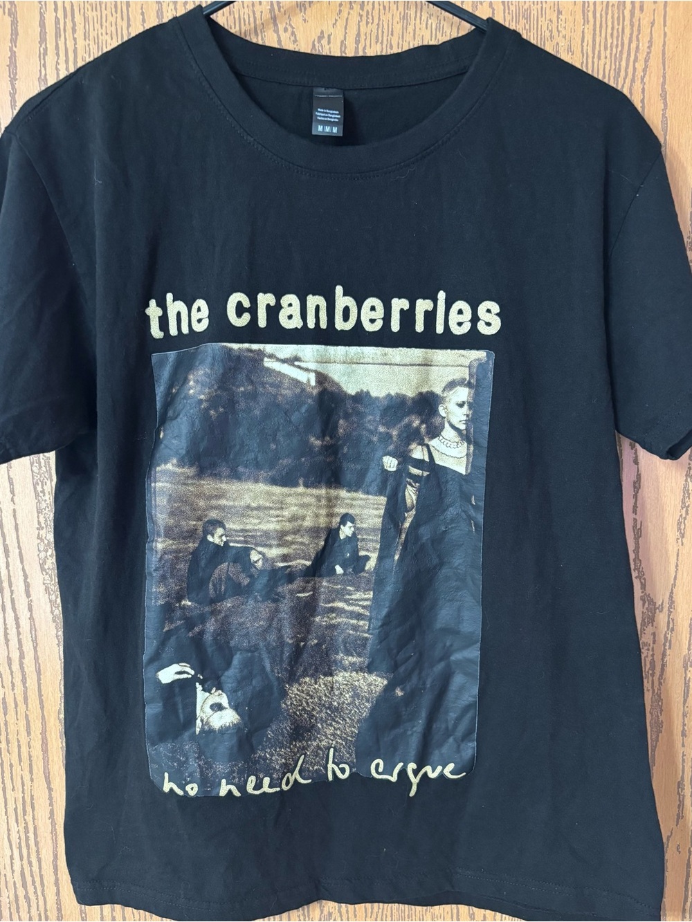The Cranberries 1995 Tour Vintage Rock Band Graphic T-Shirt